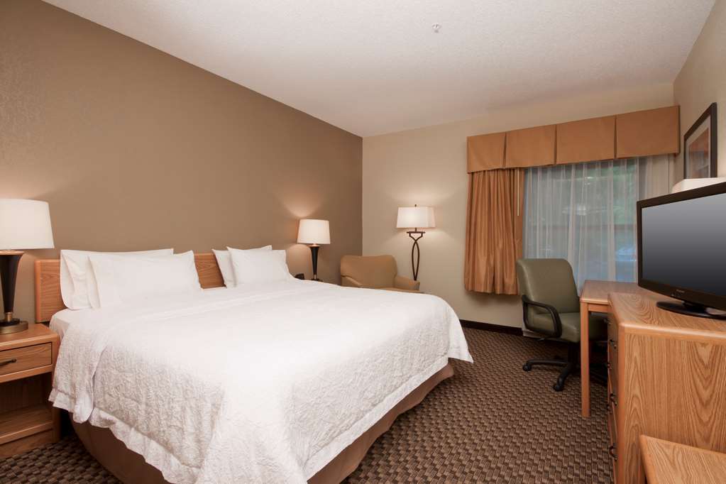 Hampton Inn Binghamton/Johnson City Δωμάτιο φωτογραφία